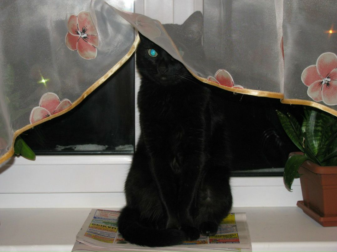 Анастасия Безвительнова | Тольятти