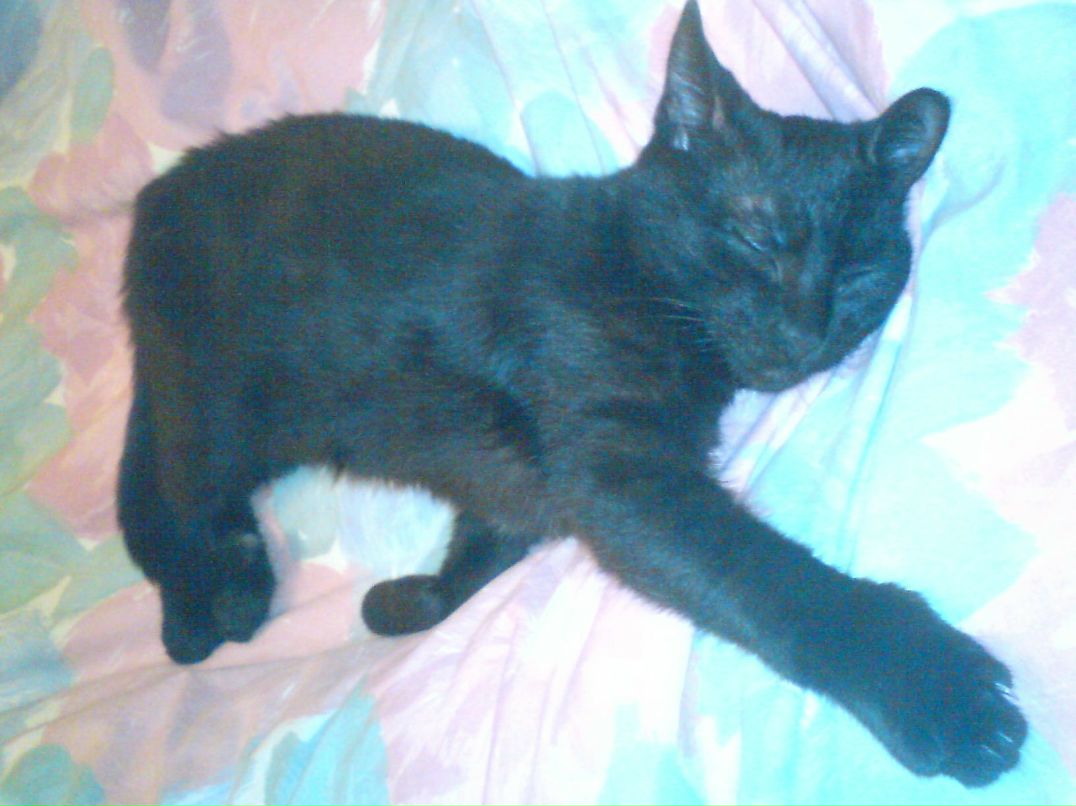 Евгения Ужанская | Киев