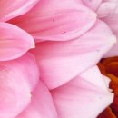 Анастасия Лытнева | Москва