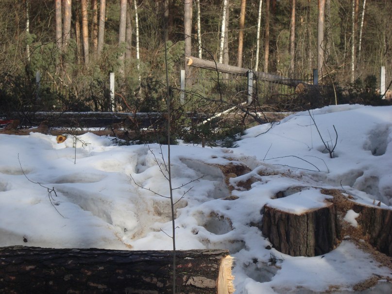 God_весть_ What | Йыхви