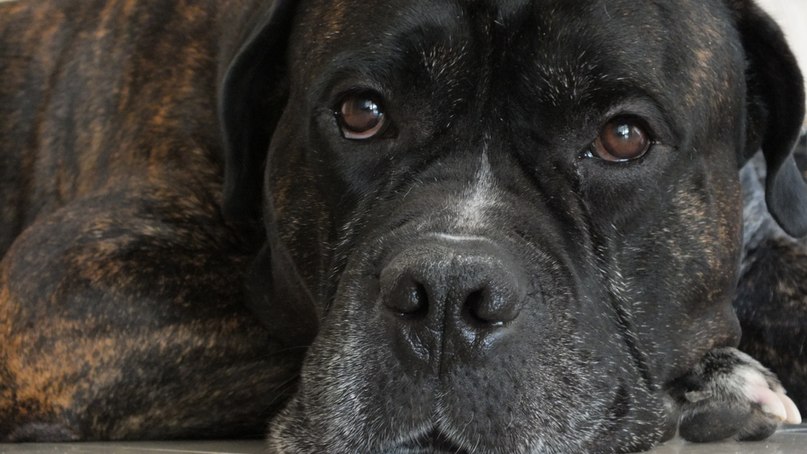 Даниил Миликовский | Киев