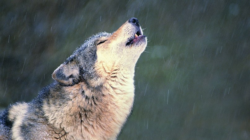 Alexx Jke On | Москва