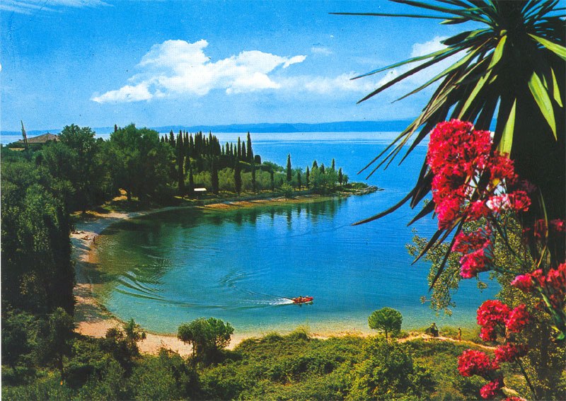 Эмилия Породько ★ ░▒▒▓▓███★ | Москва