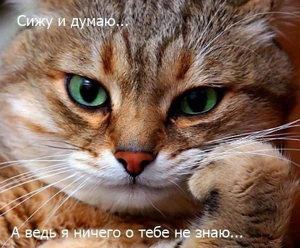 Dark Emperor | Москва