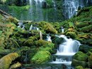Фотография Татьяна Богданова