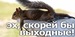 Лера Малкина фотография #23 (источник - https://vk.com/id158106258)