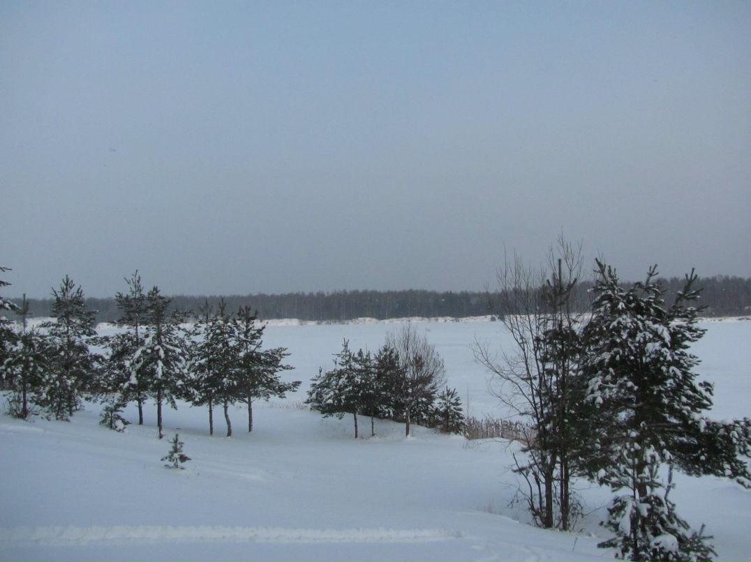 Юрий Лесков | Санкт-Петербург