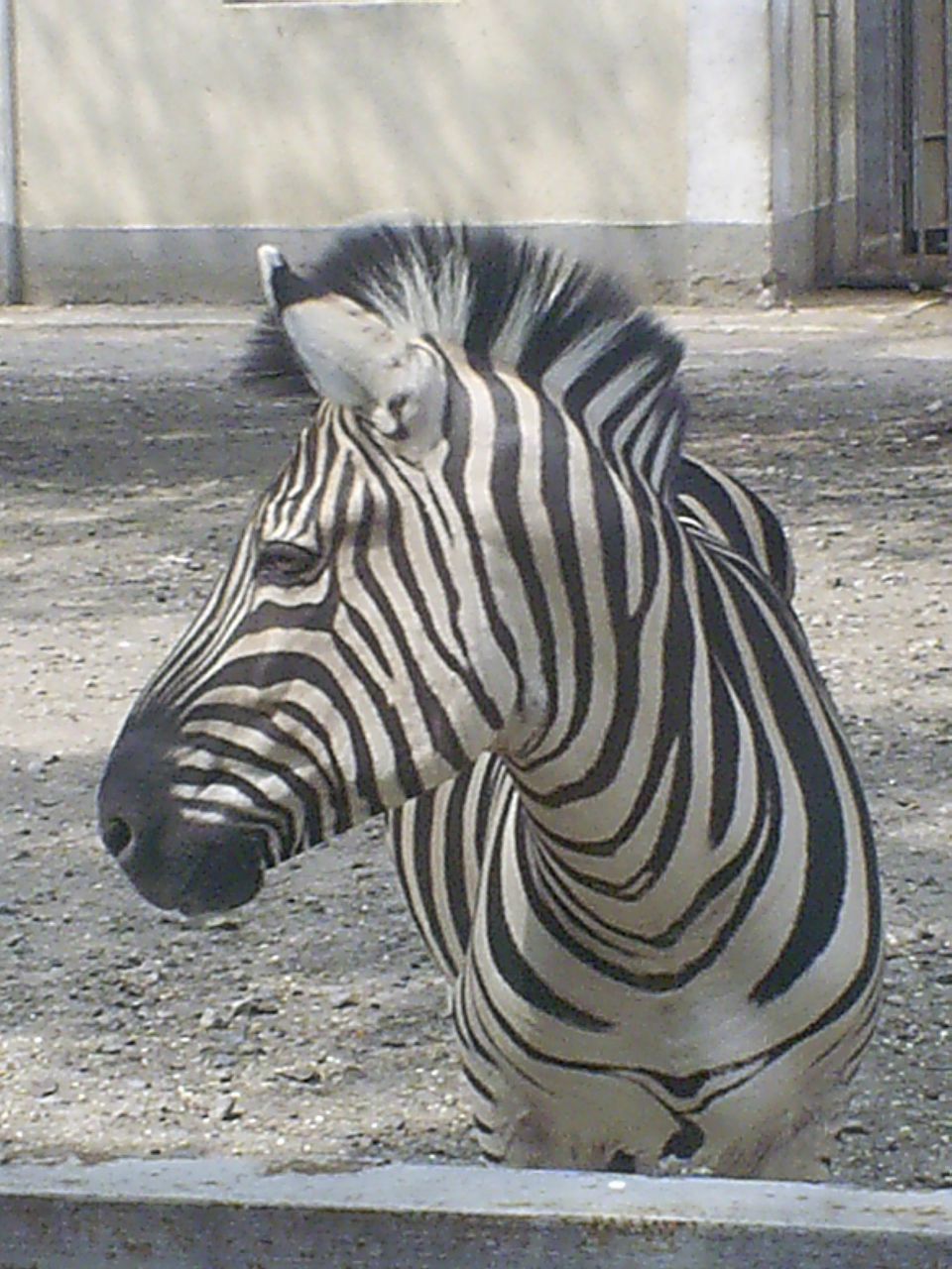 Галина Ковалишин | 