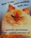 №1 Дима Вашкин : профиль, фото, статус - ВКонтакте