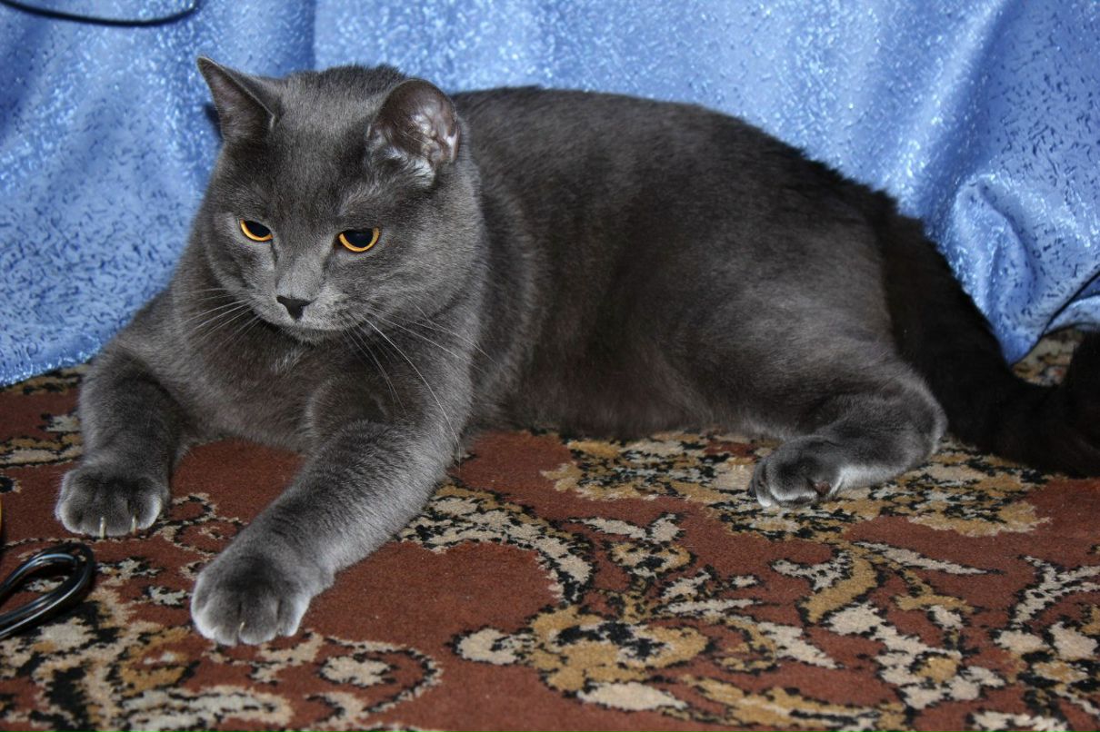 Татьяна Тюнина | Москва