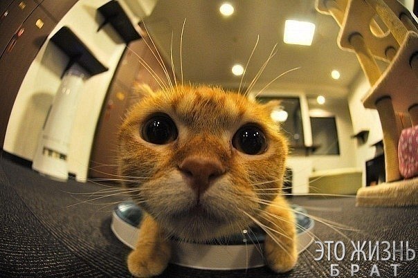 Станислав Шерстюк | Краснодар