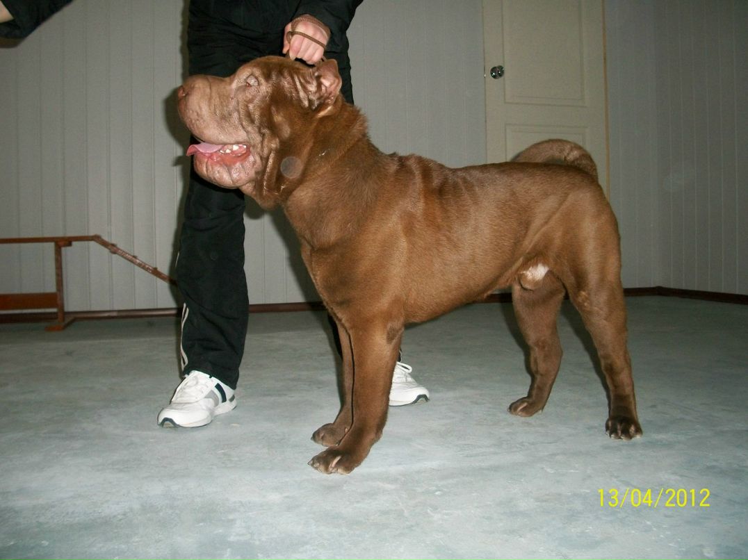 Анна Ялпута | Северодонецк