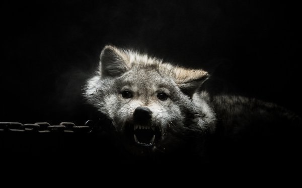 Валера Боровской | Москва