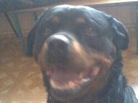 Саша Сирота | Чита