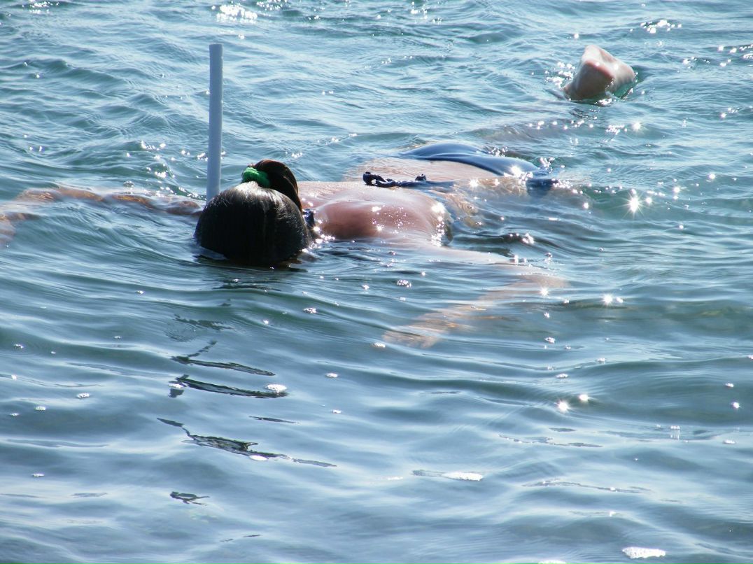 Дина Броун | Харьков