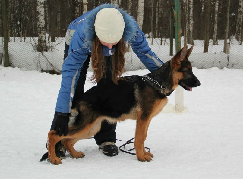 Вика Петлина | Москва