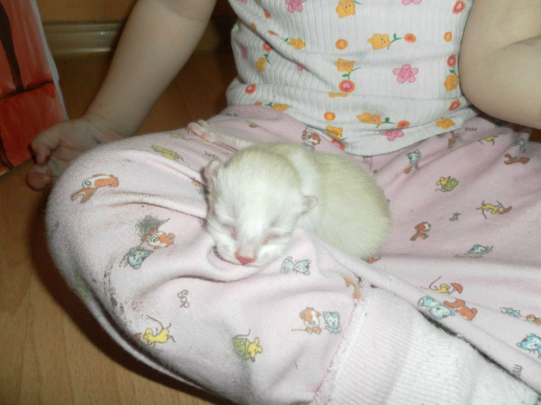 Катерина Низамутдинова | Нижневартовск