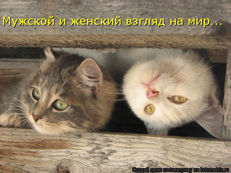 Андрей Сема >>>Corvette<<< | Киев