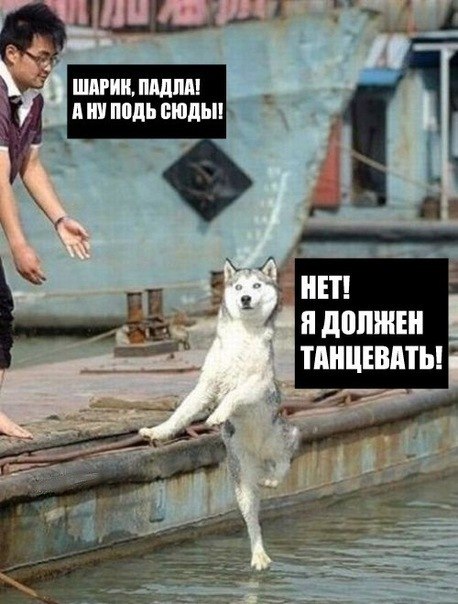 Маргарита Плахотина | Санкт-Петербург