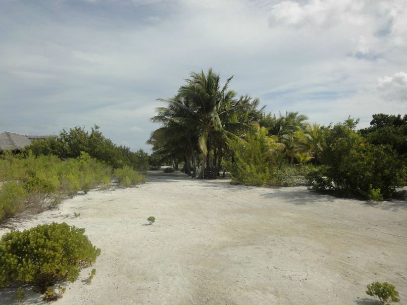 Рома Дашкевич | Мурманск