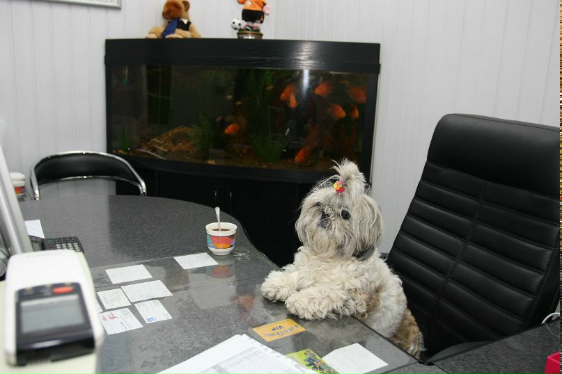 Александр Удод | Киев