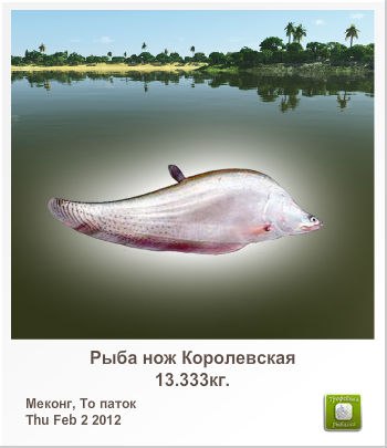 Міша Паробко | Теребовля