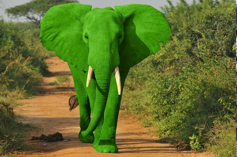 Максим Трофимкин | Břeclav