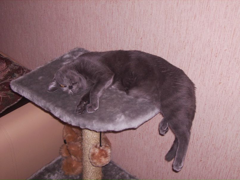 Михаил Скрипчук | Красноярск