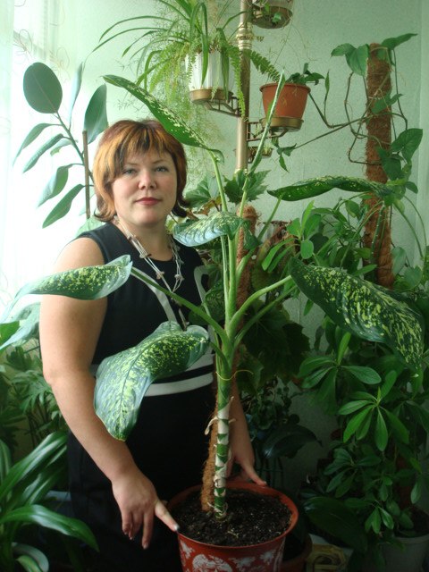 Елена Сакерина | Донецк