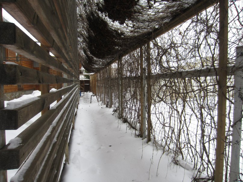 Юлия Мокеева | Москва