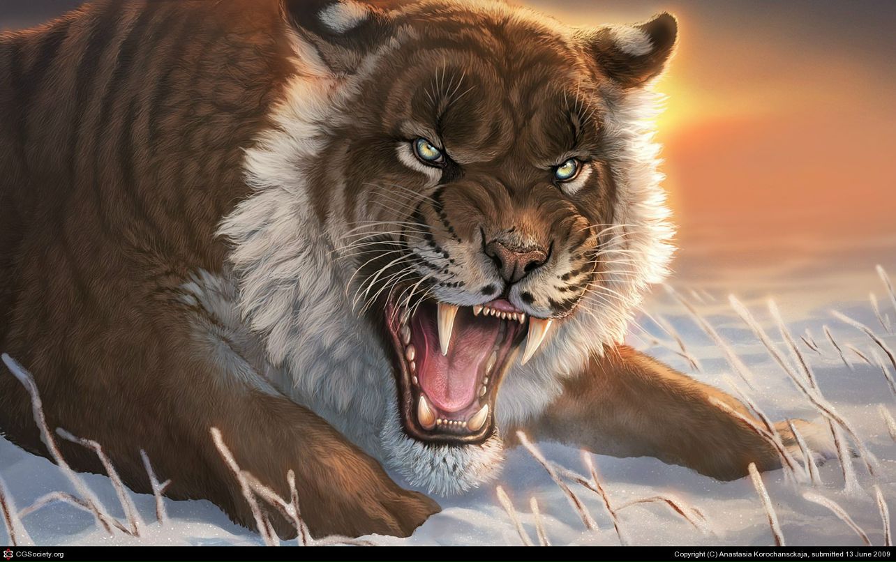 Наталья Филиппова | Санкт-Петербург