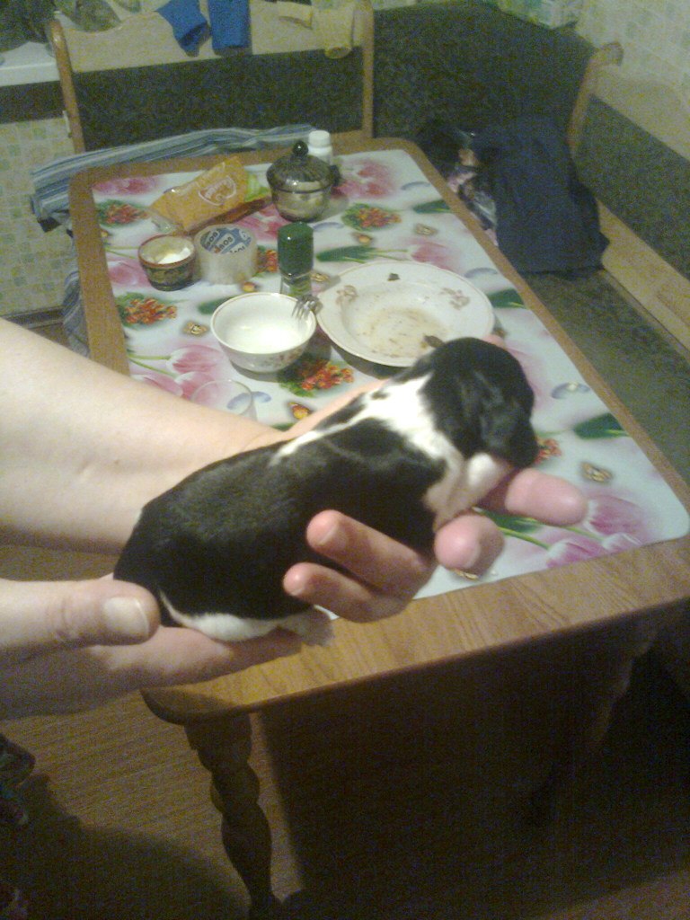 Юрий Кобяков | Ижевск