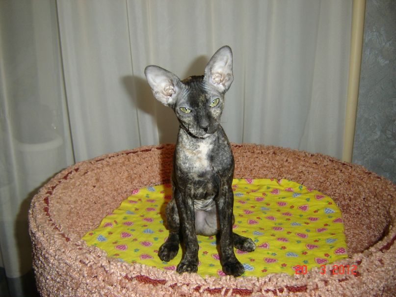 Анастасия Закамская | Казань