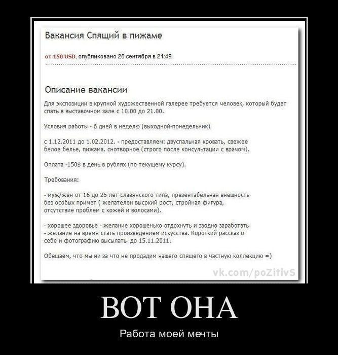 Алкаш Редкий медведь | Пярну