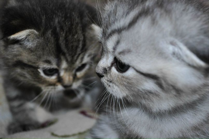 Мария Коновалова | Москва