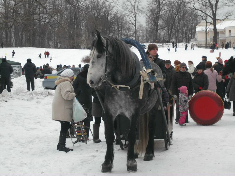 Александр Есипов | 