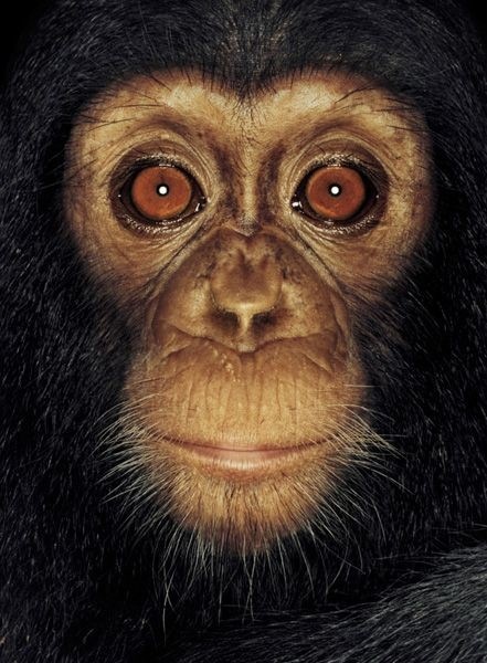 №94, Игорь Рещиков, 37 лет, Николаев №94, Игорь Рещиков, 37 лет, Николаев