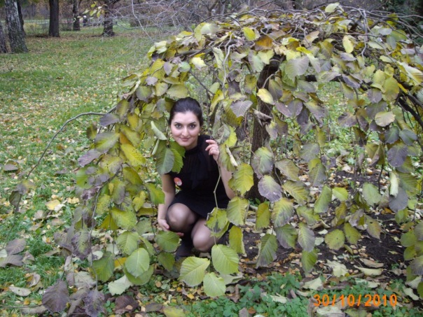 №5, Нана Джанянц, Москва №5, Нана Джанянц, Москва