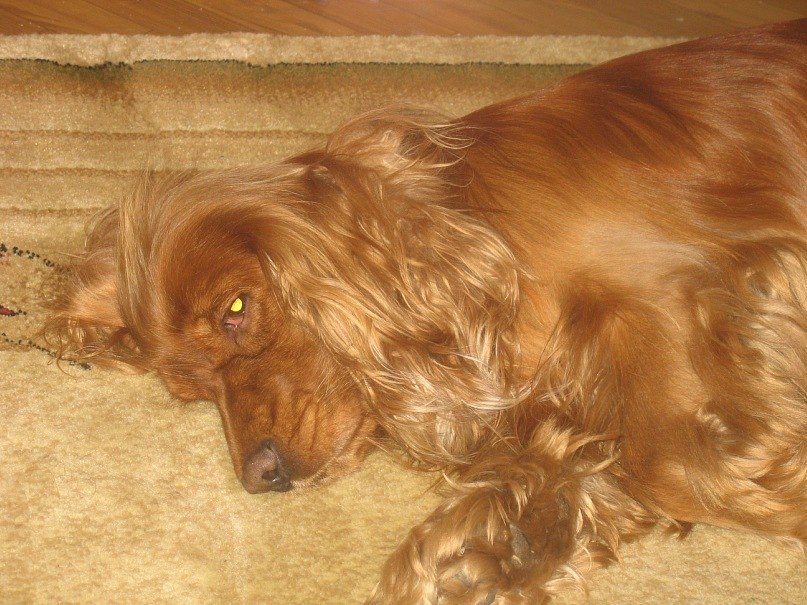 Артем Кривчик | Минск