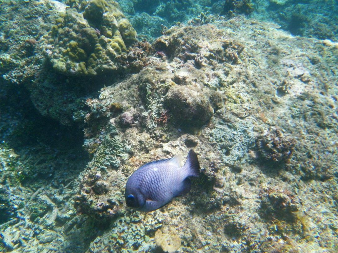 Вера Кондакова | Shenzhen