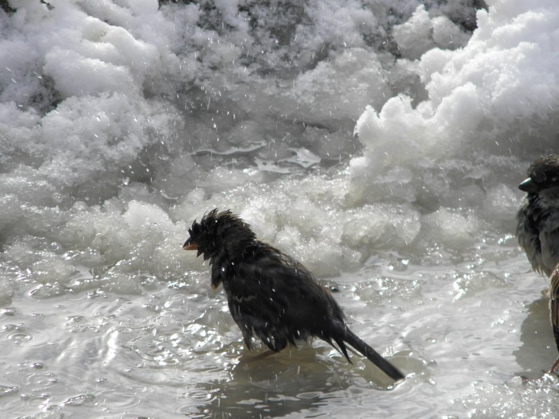 Аня Прокопович | Минск