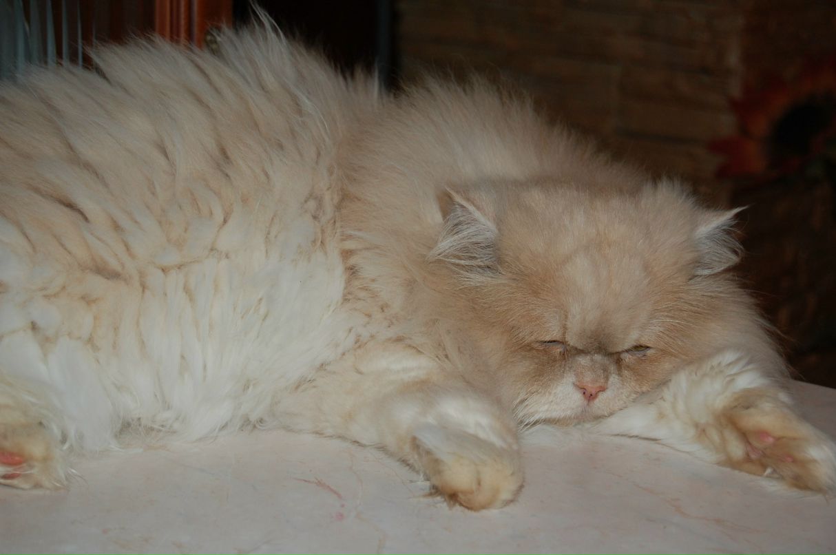 Богдан Стецюк | Ровно