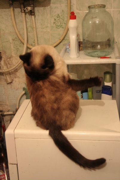 №100, Мария Стукалова, 37 лет, Москва №100, Мария Стукалова, 37 лет, Москва