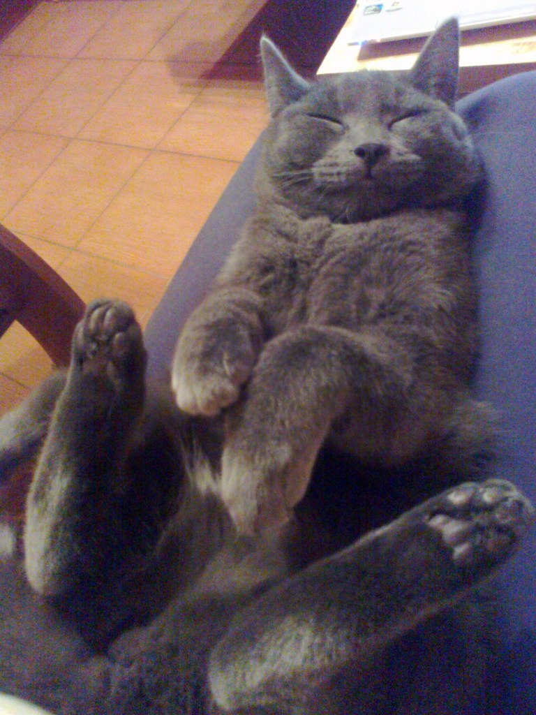 Наталия Кривченкова Ипатова | Москва