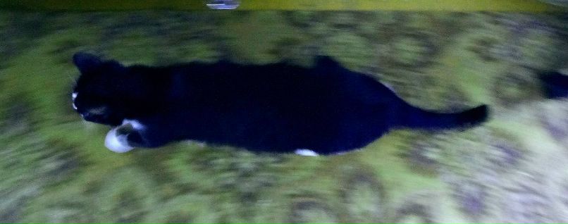 Наталья Кудрявцева | Сургут