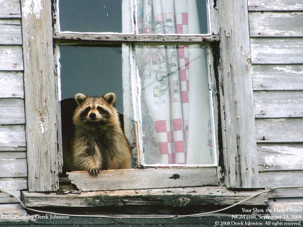 Pavel Fedorinov | Минск