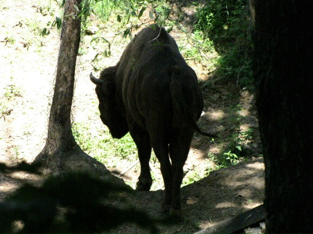 Сергей Киценко | Санкт-Петербург
