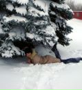 Фотография Настюшечка Рожкова