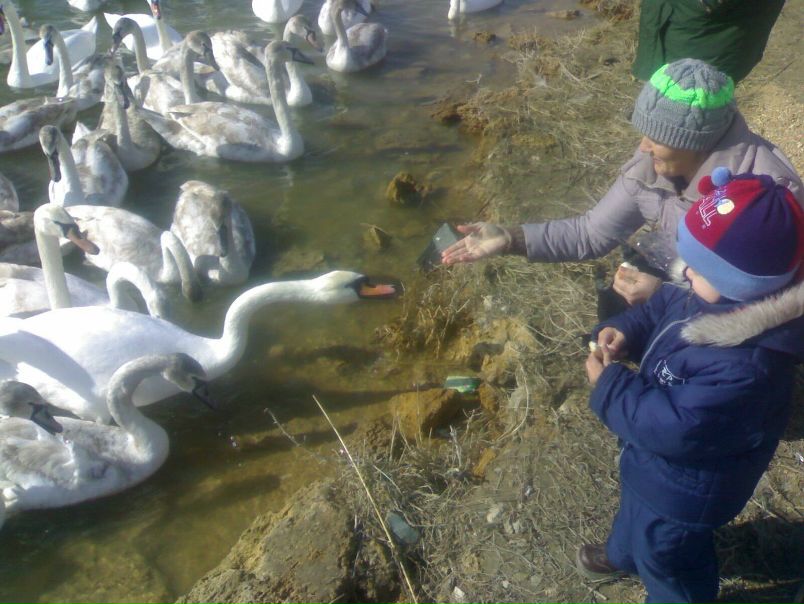 №28, Витя Белов, Евпатория №28, Витя Белов, Евпатория