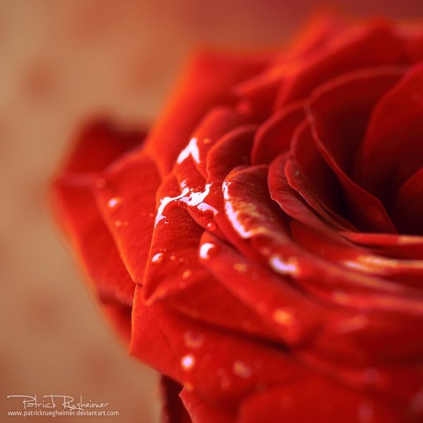 №195, Юлия Устинович, Магнитогорск №195, Юлия Устинович, Магнитогорск